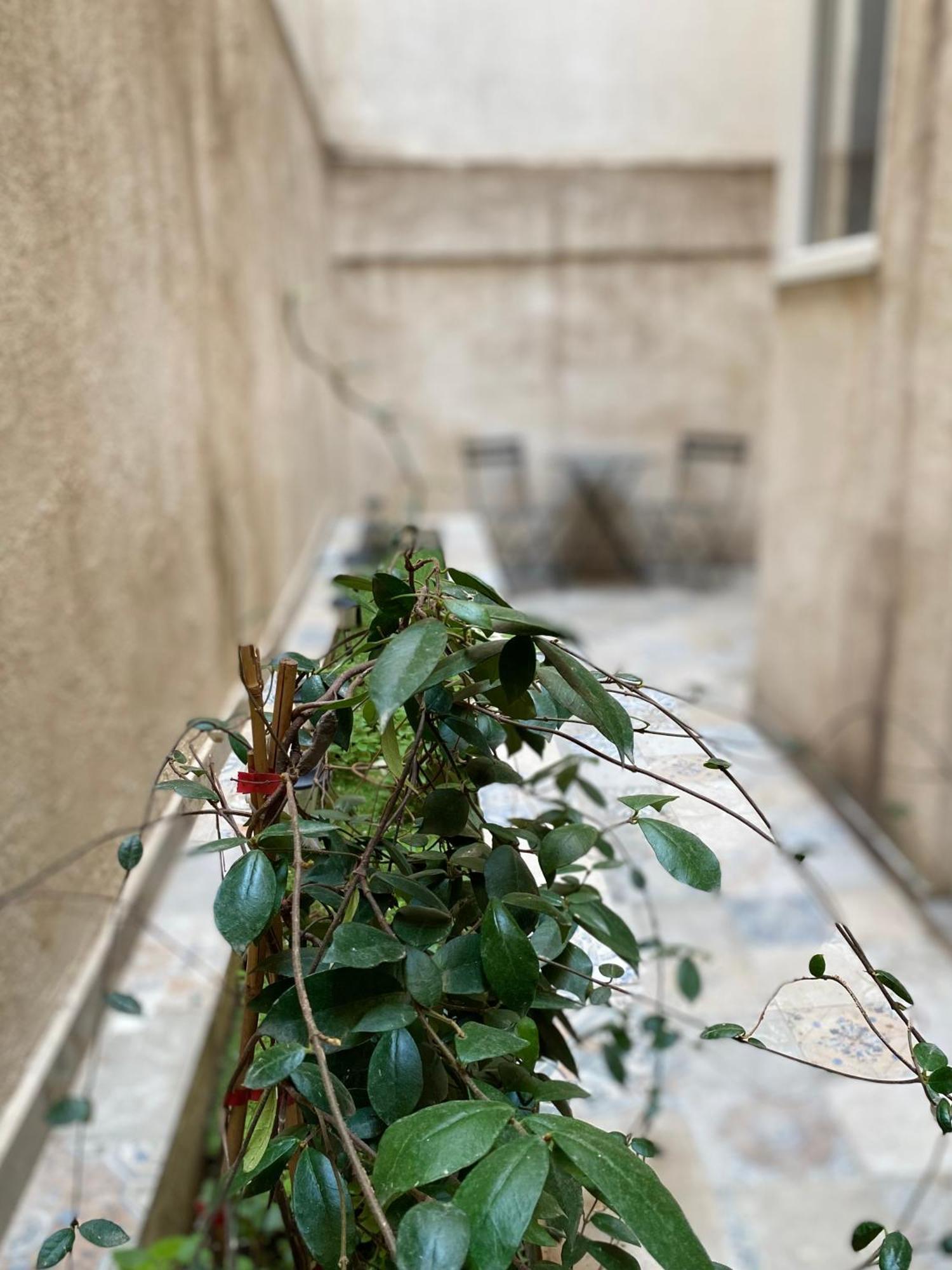 A Place 4 U Below Acropolis Apartment Атина Екстериор снимка